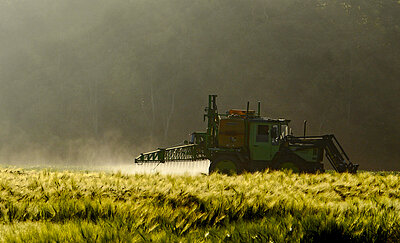 agriculture-2361978b.jpg